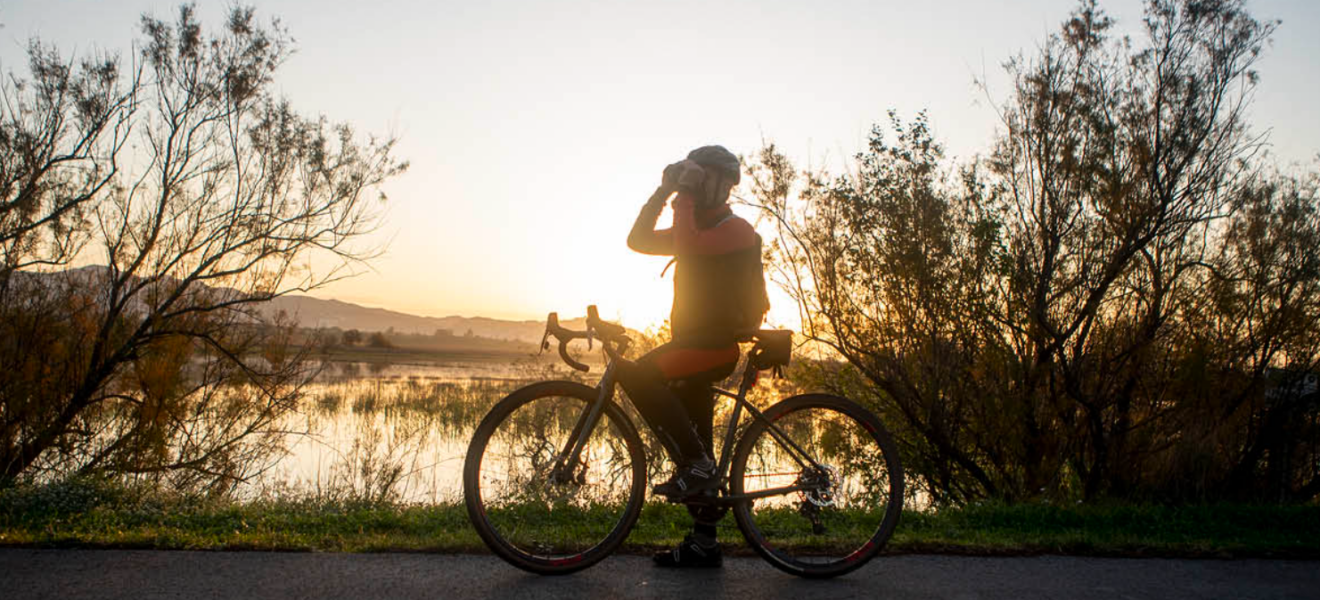 Captura de pantalla 2026-01-12 a las 23.35.28