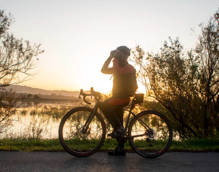 Captura de pantalla 2026-01-12 a las 23.35.28