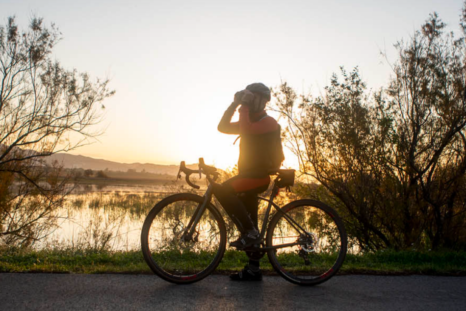 Captura de pantalla 2026-01-12 a las 23.35.28